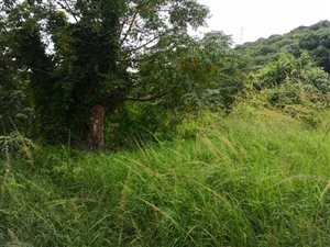 3117 m² Land available in Reservoir Hills