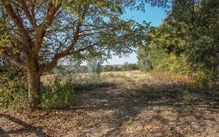1 ha Land available in Beaulieu
