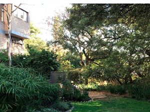 Studio apartment in Norwood