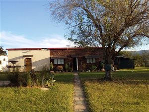 12 Bed House in Otto’s Bluff
