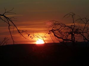 2722.1 ha Farm in Vaalwater