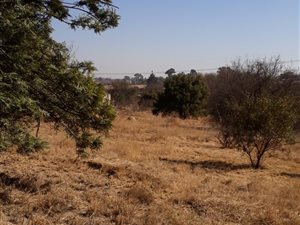1.5 ha Land available in Glenferness AH
