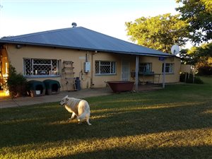 16.8 ha Farm in Mafikeng