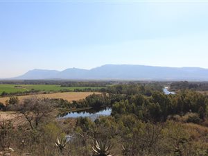 94 ha Farm in Swellendam