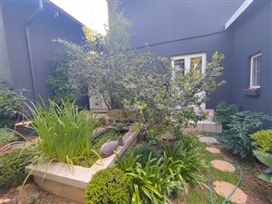 1 Bed Garden Cottage in Waterkloof