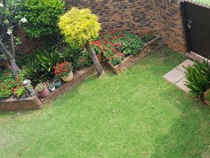 3 Bed Duplex in Bedford Park