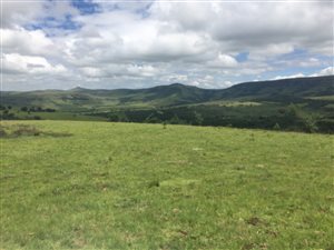 670 ha Farm in Newcastle Central
