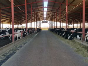 101 ha Farm in Tarlton