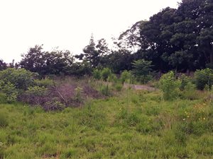 1027 m² Land available in Margate