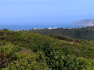 1535 m² Land available in Schoongezicht