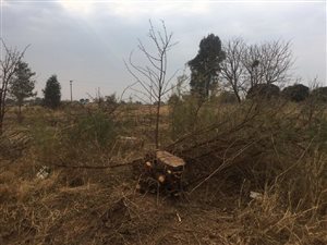 4147 m² Land available in Riversdale