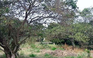 1390 m² Land available in Port Edward