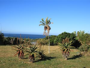 950 m² Land available in Kaysers Beach