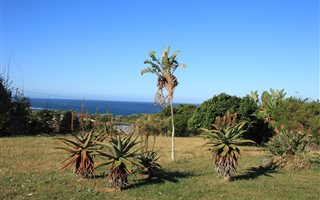 950 m² Land available in Kaysers Beach