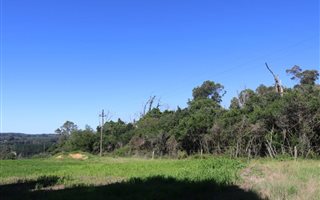4.7 ha Land available in Harkerville
