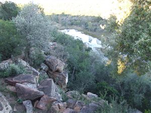 1221.4 ha Farm in Vaalwater