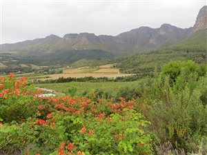 11 ha Farm in Paarl