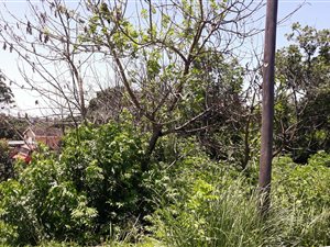 1058 m² Land available in Margate