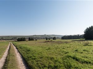 9 ha Farm in Stellenbosch Agricultural