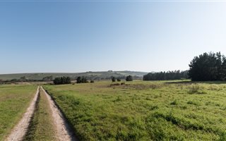 9 ha Farm in Stellenbosch Agricultural
