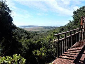 2 ha Farm in Wilderness Heights
