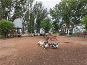 4 ha Farm in Walkers Fruit Farms