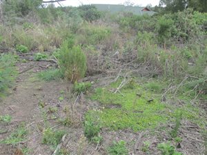 1200 m² Land available in Phantom River View