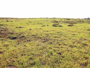 409 m² Land available in Hartenbos