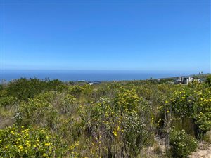 6748 m² Land available in Pezula Private Estate