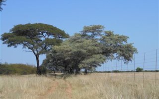 1188 ha Farm in Roedtan