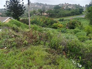 1299 m² Land available in Everest Heights