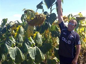 514 ha Farm in Lichtenburg