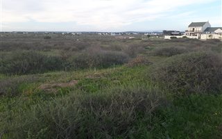 2.3 ha Farm in Long Acres