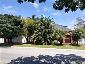 3 Bedroom House in Springfield