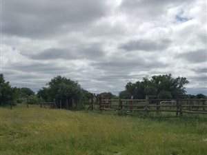 1908 ha Farm in Kimberley