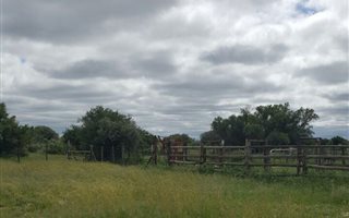 1908 ha Farm in Kimberley