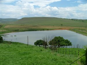 1840 ha Farm in Estcourt