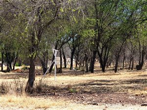 19 Bed House in Vredefort