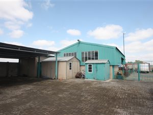 Farm with House in Kaalplaats