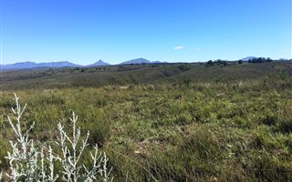 300 m² Land available in Gondwana Game Reserve