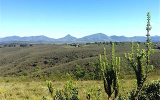 300 m² Land available in Gondwana Game Reserve