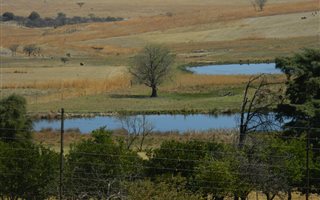 350 ha Farm in Newcastle Central