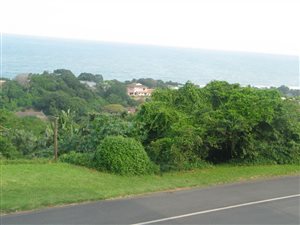 1100 m² Land available in Zinkwazi Beach