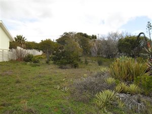 890 m² Land available in Bredasdorp