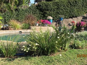 3 Bed House in St Winifreds