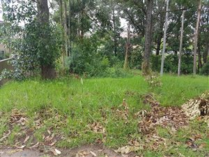 1290 m² Land available in Heatherlands