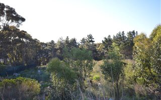 1319 m² Land available in Mountainside