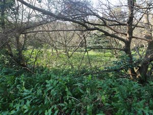 646 m² Land available in Princes Grant Golf Estate