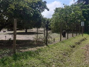 4 ha Farm in Ballito