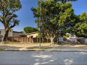 3 Bed House in Newton Park